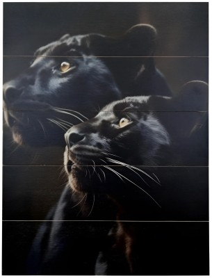 ������� "�������"