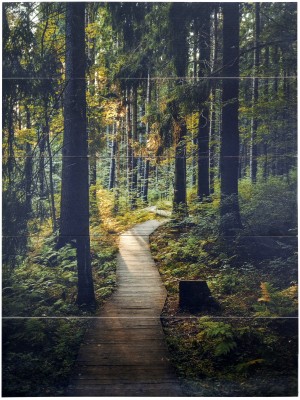 ������� "�������� � ������"