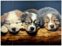 ������� "�����"