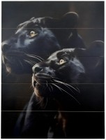 ������� "�������"